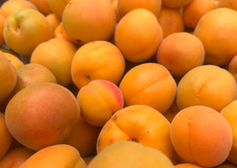 BC Apricots