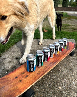 Kootenay Kombucha Blueberry Brew