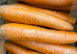 Jumbo Carrot (BC)