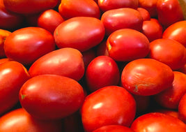 Roma Tomatoes (BC)