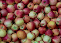 Fruits