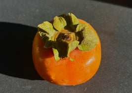 Persimmons