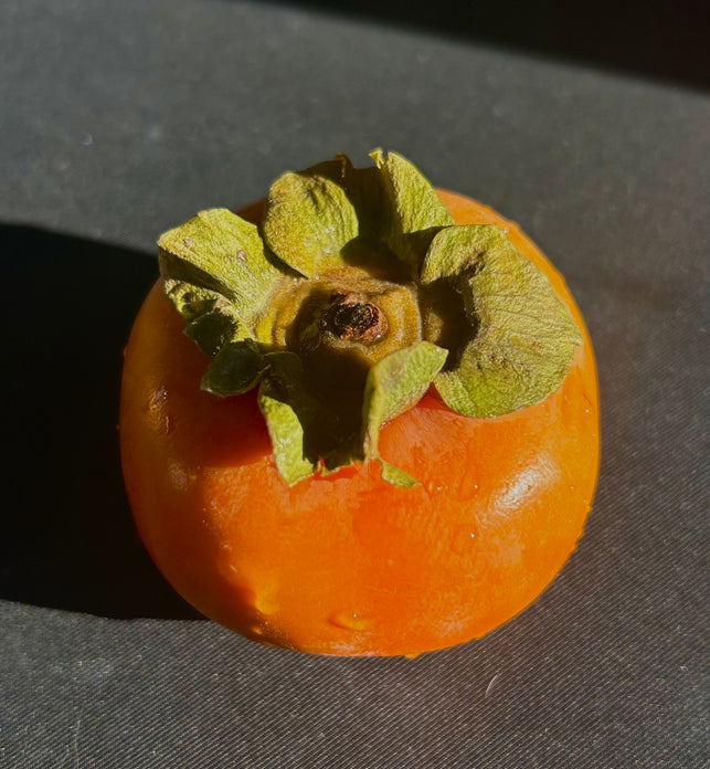 Persimmons