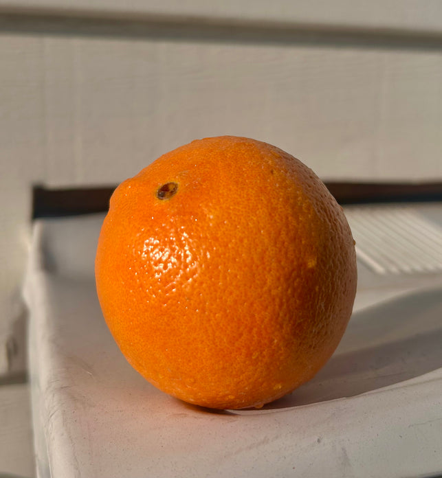 Navel Oranges