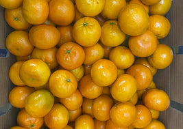 Mandarin Oranges
