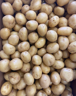 Gold Nugget Potatoes (BC)