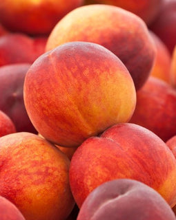 Peaches (BC)