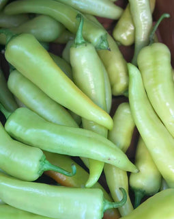 Banana Pepper