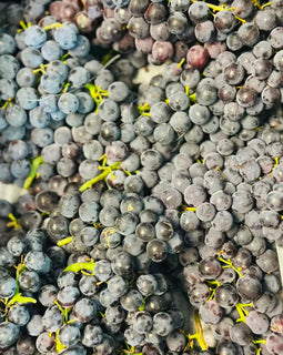 Concord Grapes