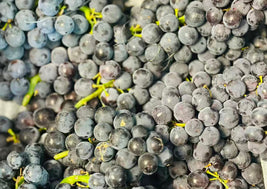 Concord Grapes
