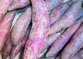 Purple Yam