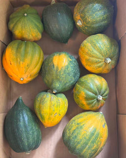 Acorn Squash