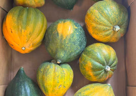 Acorn Squash