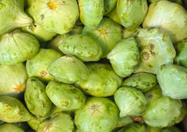 Pattypan Squash (BC)