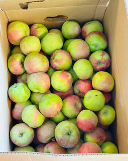 BC Macintosh Apples