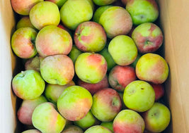 BC Macintosh Apples