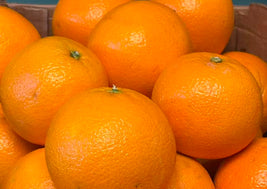 Navel Oranges