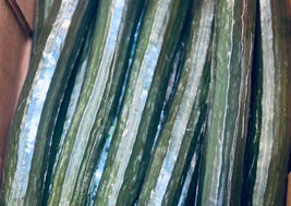 English Cucumbers