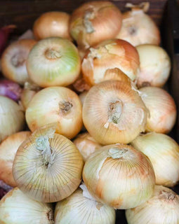 Vidalia Sweet Onions