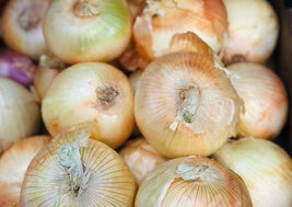 Vidalia Sweet Onions