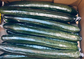 English Cucumbers