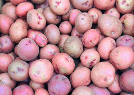 Red Nugget Potatoes (BC)