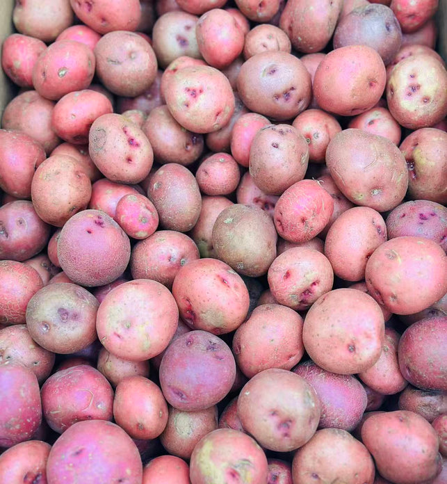 Red Nugget Potatoes (BC)