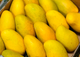 Mangoes