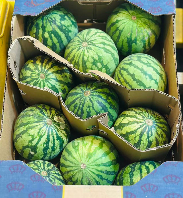 Mini Watermelon (BC)