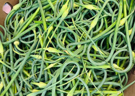 Garlic Scapes (BC)