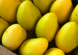 Mangoes