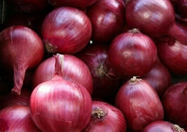 Red Onions