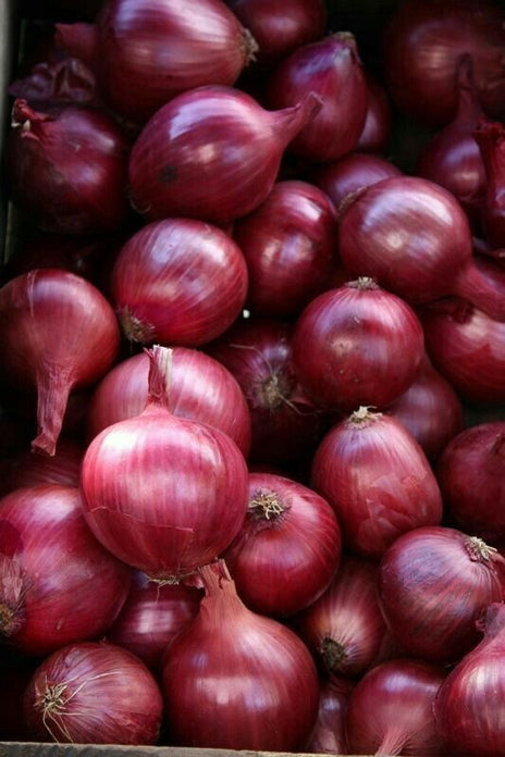 Red Onions