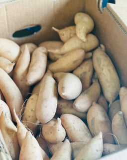 Sweet Potatoes