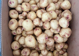 Warba potatoes (BC)