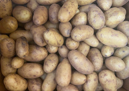 Fingerling Potatoes (BC)