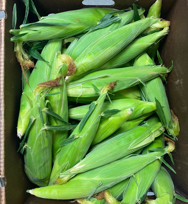 Corn (BC)