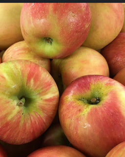 BC Honeycrisp Apples