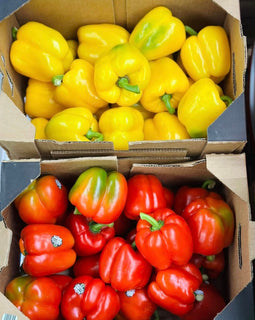 Bell Peppers (BC)