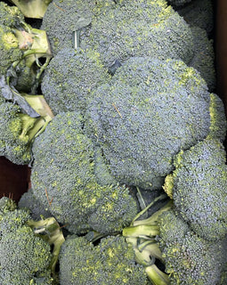 Broccoli (BC)