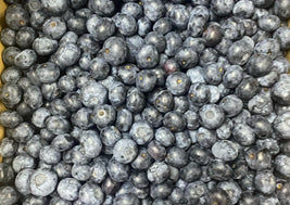 Frozen Blueberries (BC)