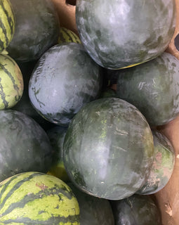Watermelon (BC)