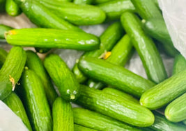 Cucumbers (Mini Persian)