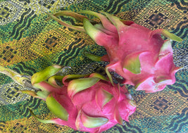 Dragon Fruit