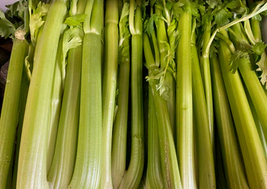 Celery (BC)