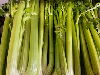 Celery (BC)