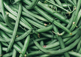 Green String Beans (BC)