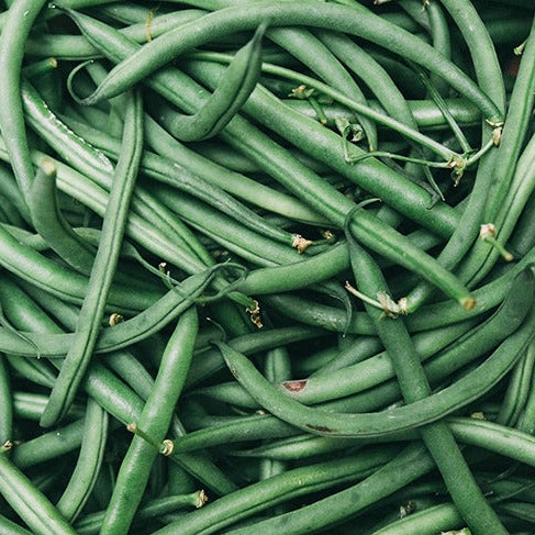 Green String Beans (BC)