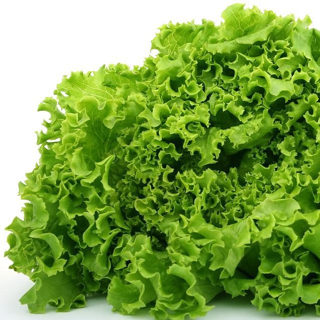 Lettuce