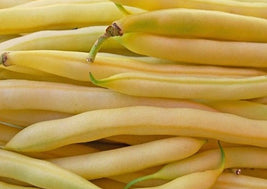 Yellow Beans
